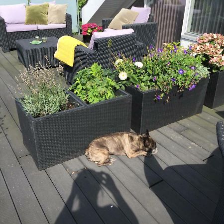 Brondums B & B Hjørring Zewnętrze zdjęcie