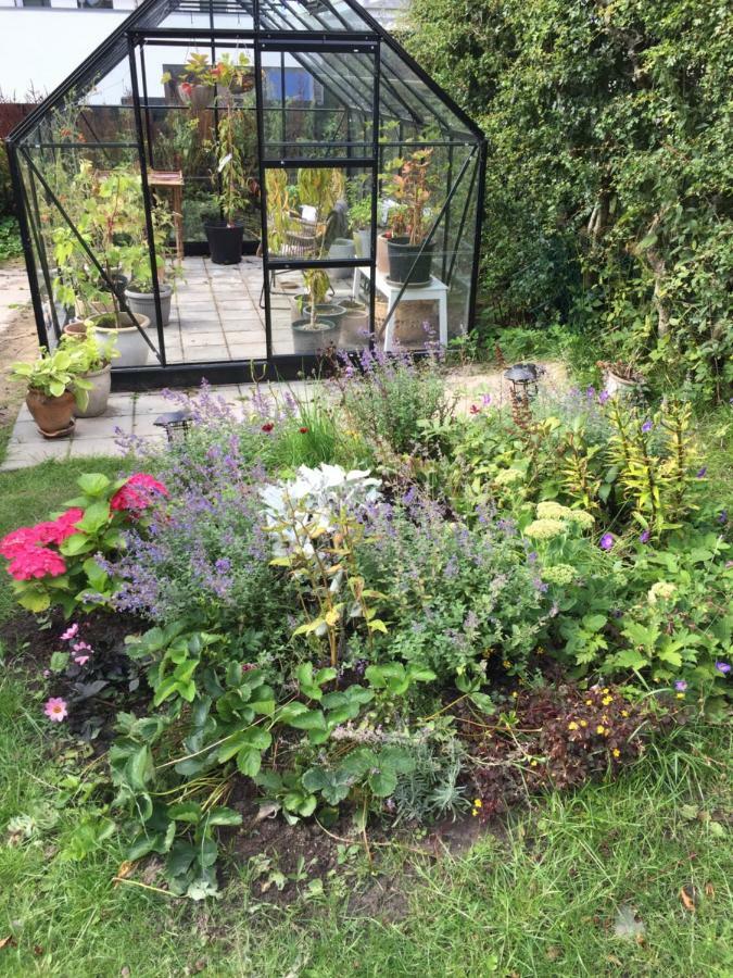 Brondums B & B Hjørring Zewnętrze zdjęcie